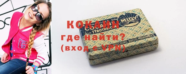 шишки Абаза