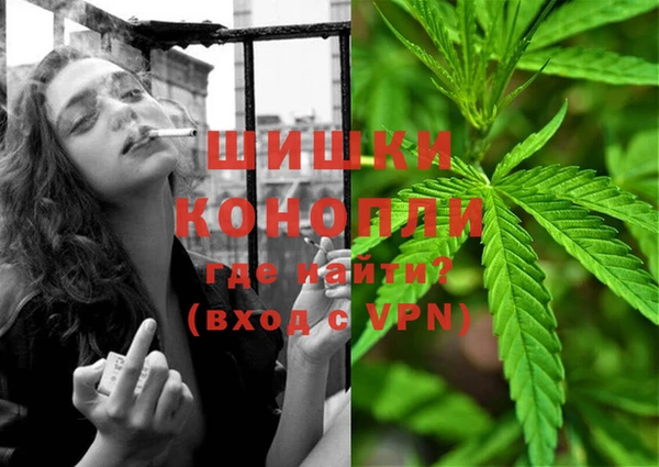 шишки Абаза