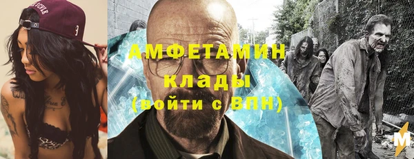 шишки Абаза