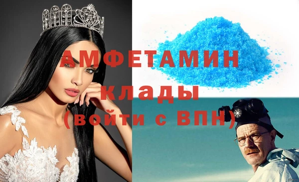 шишки Абаза