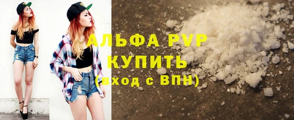 шишки Абаза