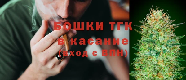шишки Абаза